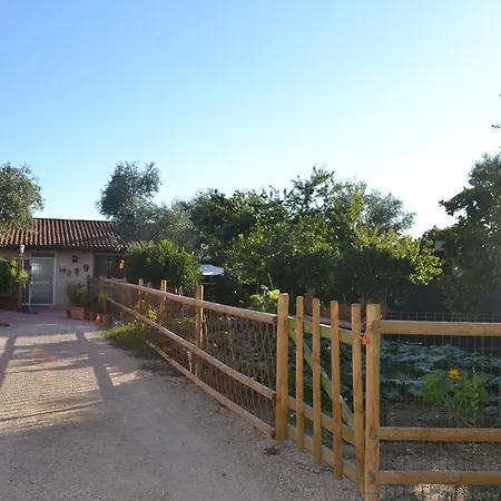 Bed & Breakfast L'antropologo 2*