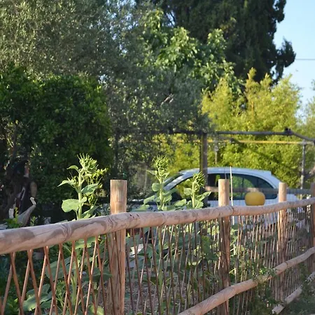 Bed & Breakfast L'antropologo Alghero