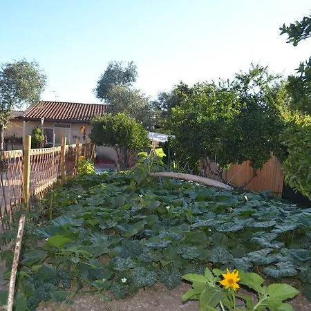 Bed & Breakfast L'antropologo 2*