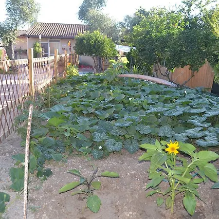 Bed & Breakfast L'antropologo Alghero